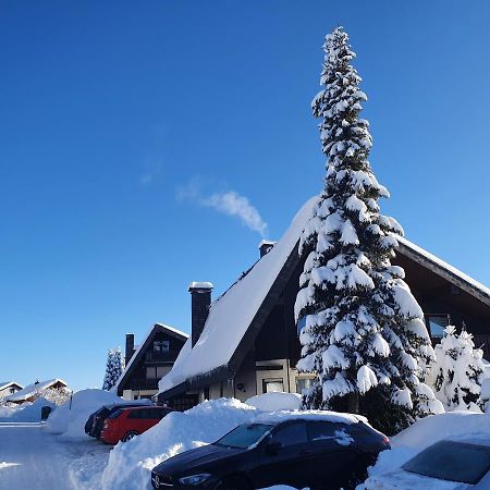 Ferienhaus-Schoenwald Im Herzen Des Schwarzwaldes 1Zimmer Wohnung Mit Terrasse App17 ภายนอก รูปภาพ