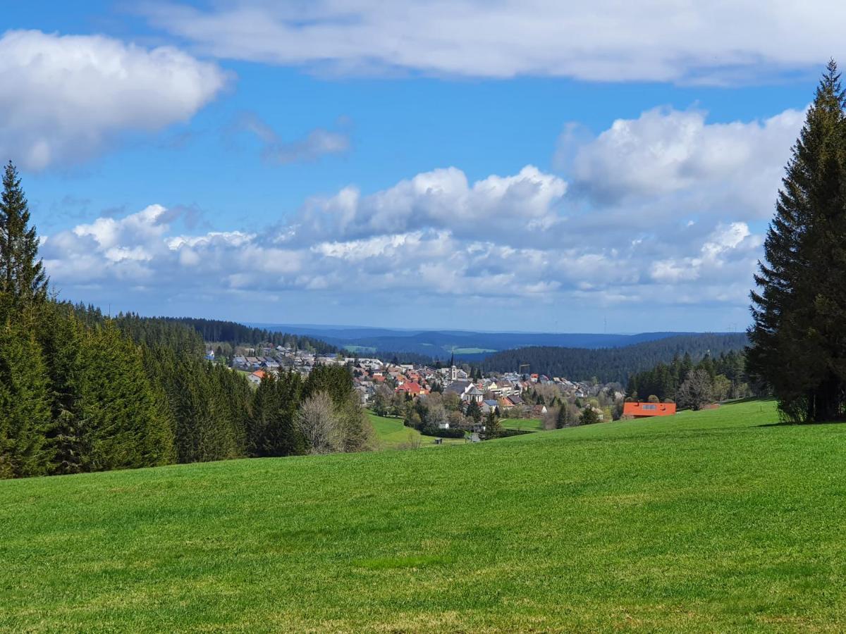 Ferienhaus-Schoenwald Im Herzen Des Schwarzwaldes 1Zimmer Wohnung Mit Terrasse App17 ภายนอก รูปภาพ